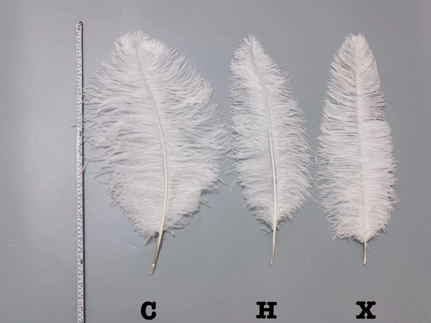 Factory in Stock 65-70cm Colorful Ostrich Feather Wedding Celebration Decoration Stage Props Carnival Feather Table Lamp Factory in Stock 65-70cm Colorful Ostrich Feather Wedding Celebration Decoration Stage Props Carnival Feather Table Lamp