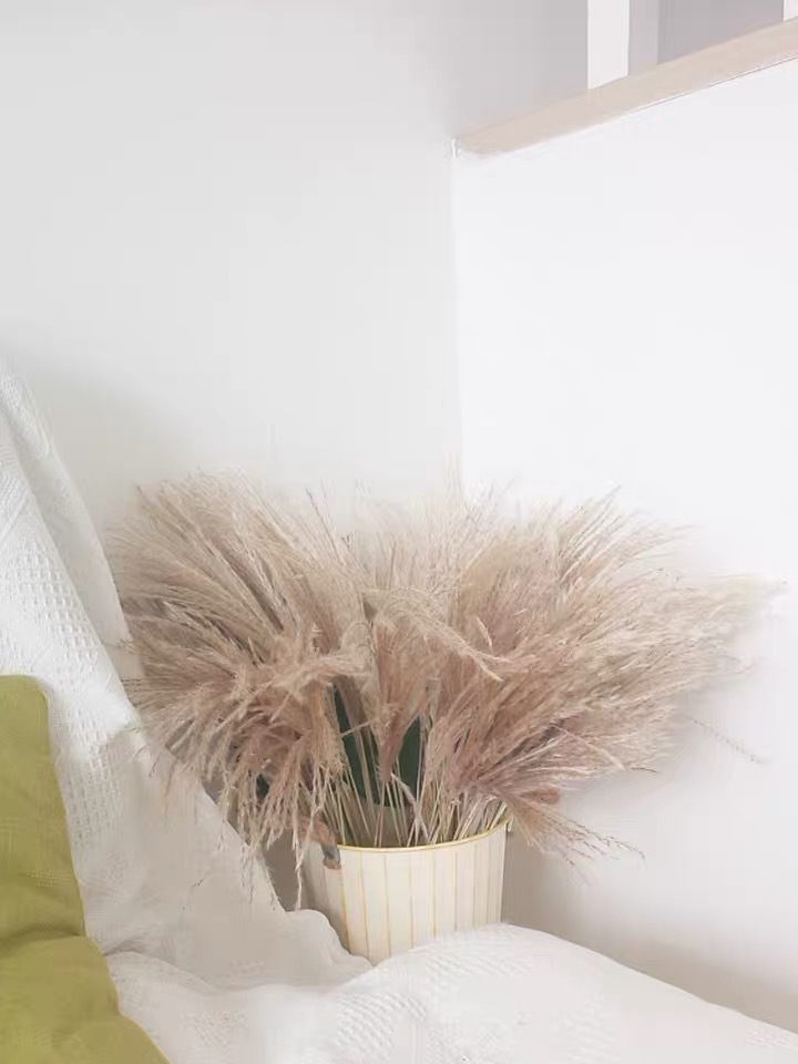 Bouquet Window Decorative Ornament Reed Flower Horsetail Whisk Floating and Heavy Flower Dried Flower Wedding Props Bouquet Window Decorative Ornament Reed Flower Horsetail Whisk Floating and Heavy Flower Dried Flower Wedding Props