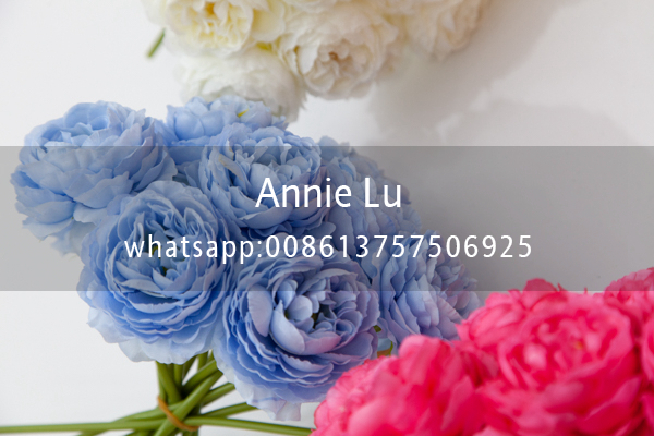 Anne Wedding Props Wedding Supplies Wedding Flower Bouquet Artificial Flower Single Ranunculus Asiaticus Anne Wedding Props Wedding Supplies Wedding Flower Bouquet Artificial Flower Single Ranunculus Asiaticus