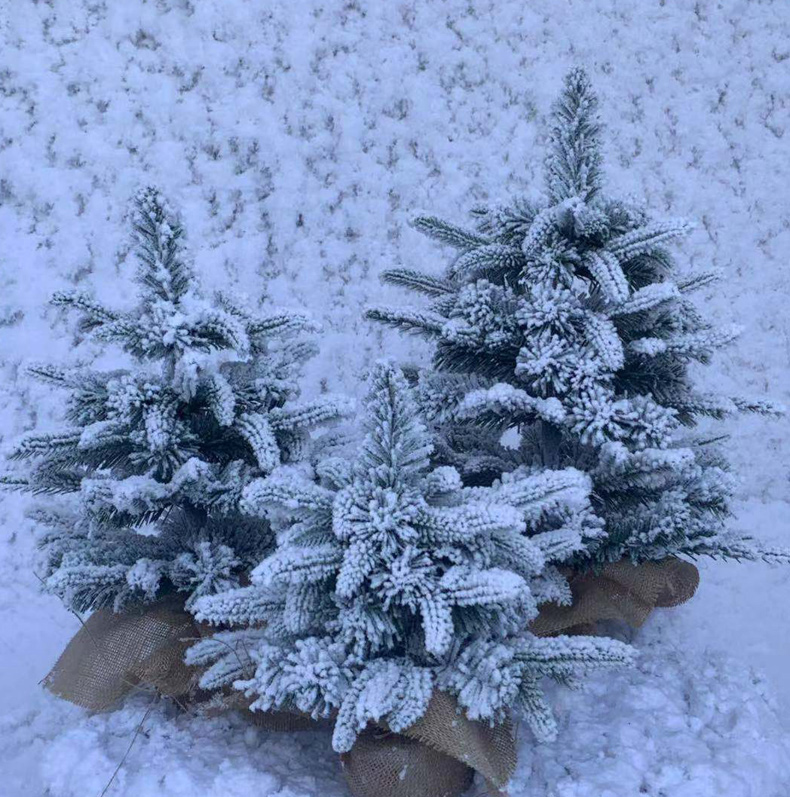 Christmas Environmental Protection Small Christmas Tree Mini Window Shopping Mall Props Snow Scene Desktop Decoration Decoration Christmas Environmental Protection Small Christmas Tree Mini Window Shopping Mall Props Snow Scene Desktop Decoration Decoration