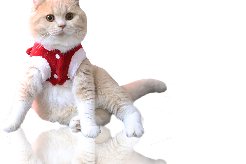 Pet Clothes Autumn and Winter Flannel Warm Festive Dress Foreign Trade Dog Clothes Cat Elk Christmas Clothes New Year Pet Clothes Autumn and Winter Flannel Warm Festive Dress Foreign Trade Dog Clothes Cat Elk Christmas Clothes New Year