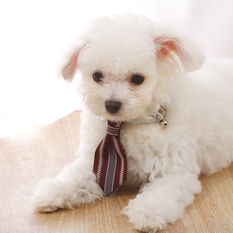 In Stock Wholesale Pipitao Dog Cat Gentleman Collar Pet Accessories Triangular Binder Korean Style Pet Tie with Bell
