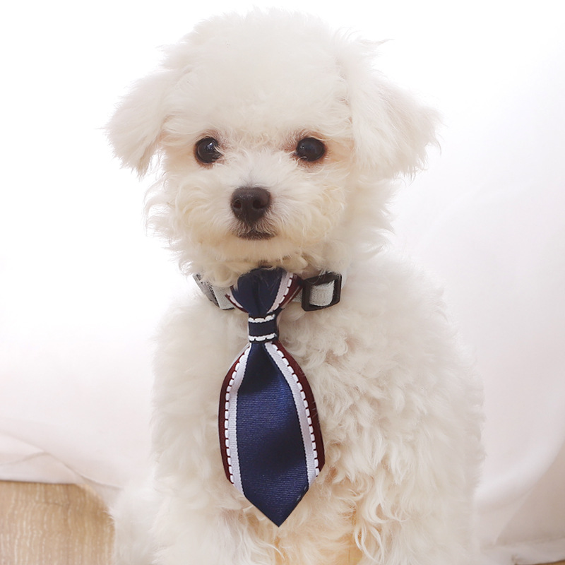 In Stock Wholesale Pipitao Dog Cat Gentleman Collar Pet Accessories Triangular Binder Korean Style Pet Tie with Bell