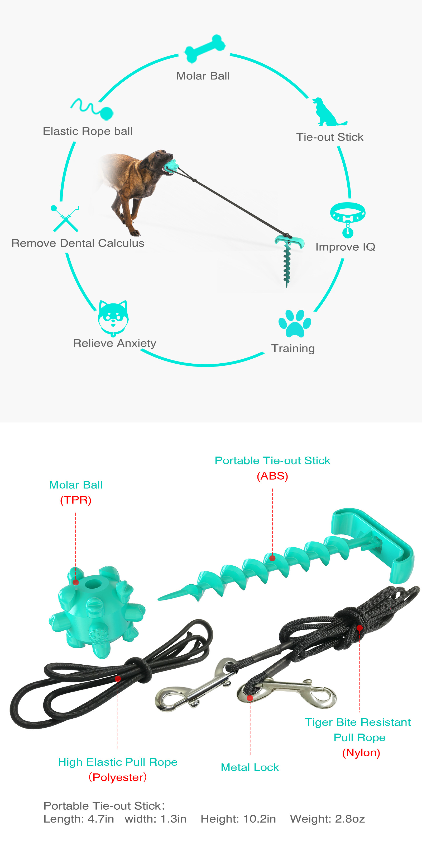 Pet Supplies New Amazon Hot Hot Selling Dog Tie Underpinning Stake Dog Walking Pet Sucker Dog Toy Pet Supplies New Amazon Hot Hot Selling Dog Tie Underpinning Stake Dog Walking Pet Sucker Dog Toy