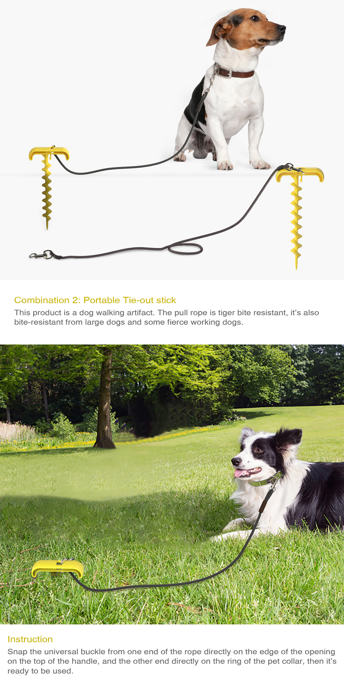 Pet Supplies New Amazon Hot Hot Sale Outdoor Bolt Dog Underpinning Stake Tie Dog Rope Leash Dog Walking Toy Pet Supplies New Amazon Hot Hot Sale Outdoor Bolt Dog Underpinning Stake Tie Dog Rope Leash Dog Walking Toy