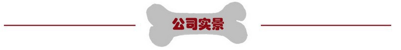 Cat Pulling Rope Chest Strap Cat Vest Clothes Japanese Style Anti Breaking Loose Tie Cat Dog Chain Cat Rope