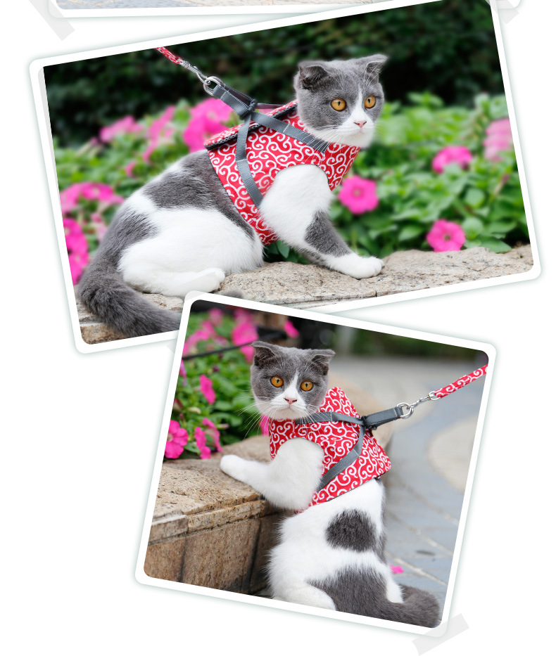 Cat Hand Holding Rope Chest Strap Cat Vest-Style Clothes Japanese Style Anti-Break Tie Cat Dog Chain Cat Rope Cat Hand Holding Rope Chest Strap Cat Vest-Style Clothes Japanese Style Anti-Break Tie Cat Dog Chain Cat Rope