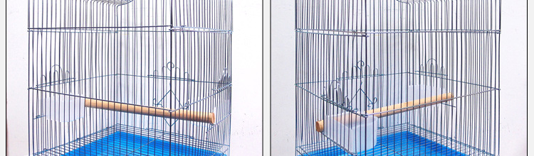 Galvanized Bird Cage Parrot Bird Cage Large Folding Bird Cage Electroplating Thin Line Eight Brothers Bird Cage Galvanized Bird Cage Parrot Bird Cage Large Folding Bird Cage Electroplating Thin Line Eight Brothers Bird Cage
