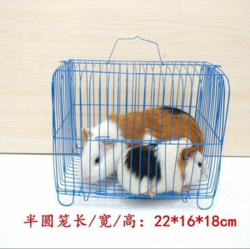 Small Pillar Package Cage Large Pillow Cage Semicircle Cage Bird Cage Rabbit Cage Rabbit Cage Pet Transport Cage Small Portable Cage Pet Cage Small Pillar Package Cage Large Pillow Cage Semicircle Cage Bird Cage Rabbit Cage Rabbit Cage Pet Transport Cage Small Portable Cage Pet Cage