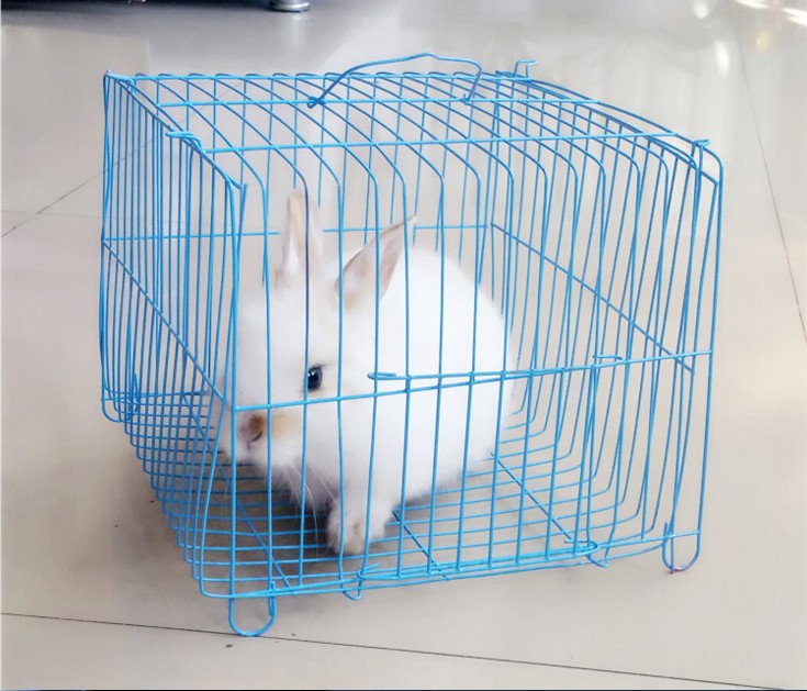 Small Pillar Package Cage Large Pillow Cage Semicircle Cage Bird Cage Rabbit Cage Rabbit Cage Pet Transport Cage Small Portable Cage Pet Cage Small Pillar Package Cage Large Pillow Cage Semicircle Cage Bird Cage Rabbit Cage Rabbit Cage Pet Transport Cage Small Portable Cage Pet Cage