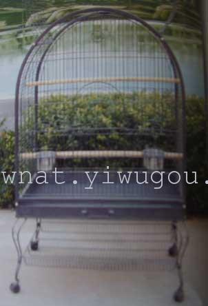 Parrot  Cage Bird Cage