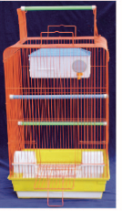 Parrot  Cage Bird Cage