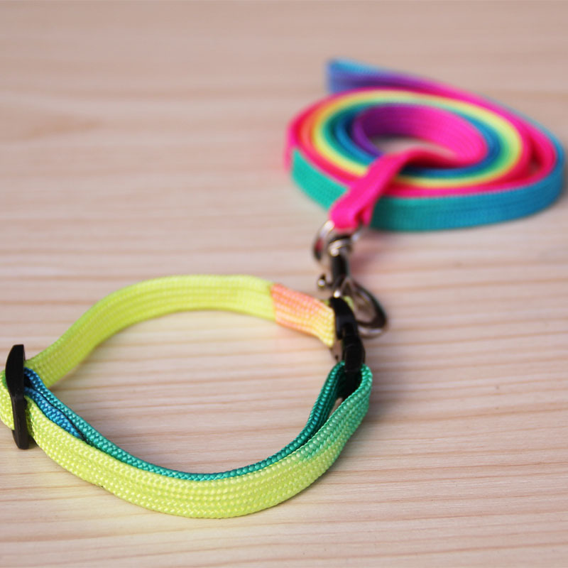 Colorful Collar Pet Hand Holding Rope Dog Chain Colorful Pet Collar Small Dog Rainbow Dog Leash Necklet Set