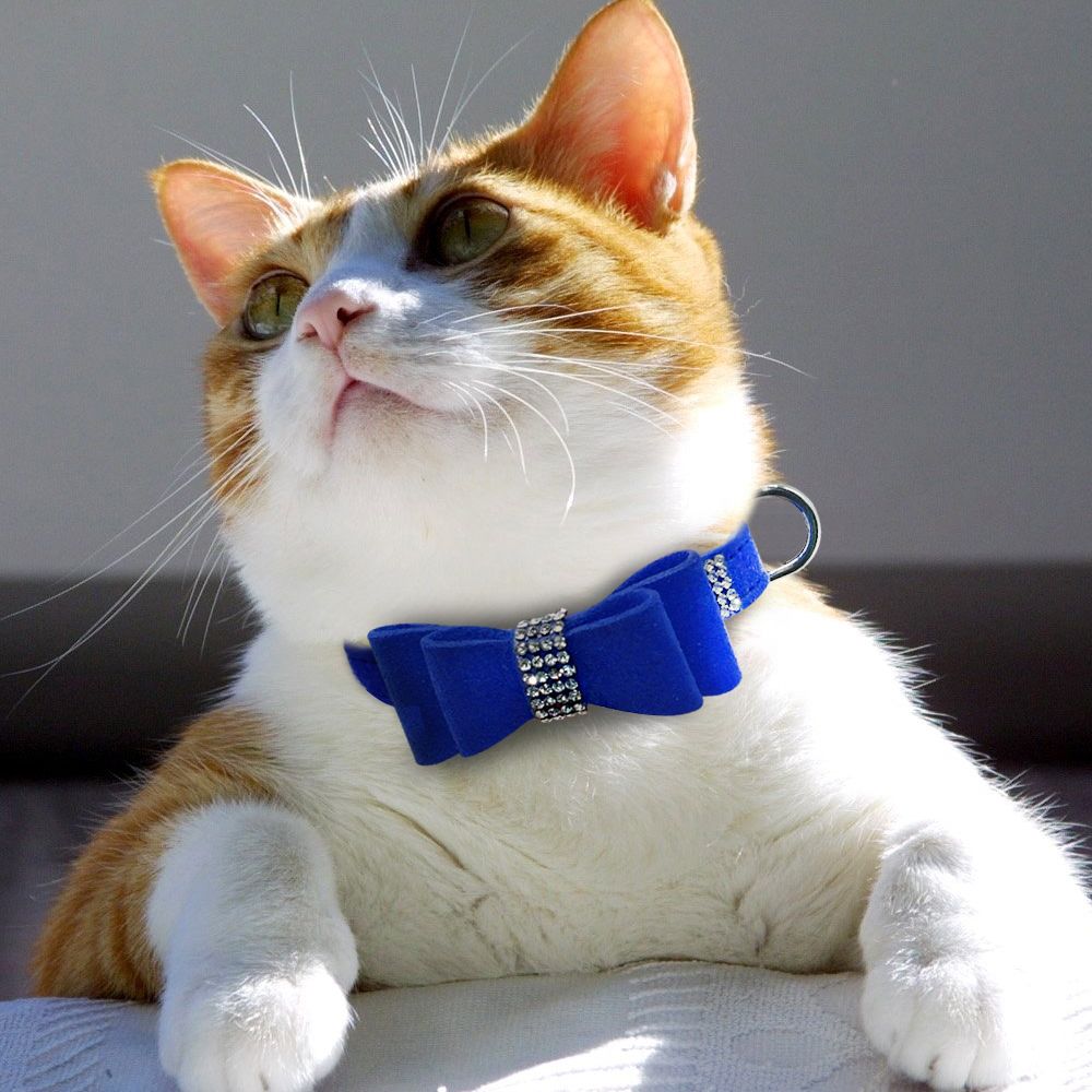 Manufacturers Popular Bow Hanging Bell Comfortable Pet Collar Double-Layer Bow Dog Collar Small and Medium-Sized Dogs Dog Leash Manufacturers Popular Bow Hanging Bell Comfortable Pet Collar Double-Layer Bow Dog Collar Small and Medium-Sized Dogs Dog Leash