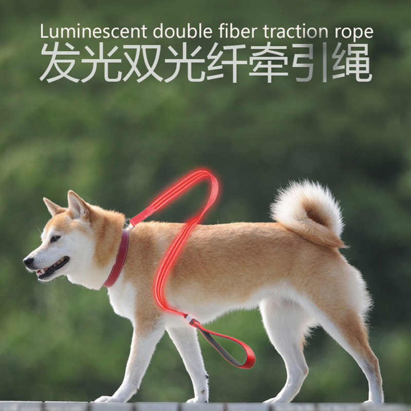 Pet Supplies USB Luminous Collar Led Luminous Nylon Dual Fiber Hand Holding Rope Dog Leash Traction Belt in Stock Wholesale