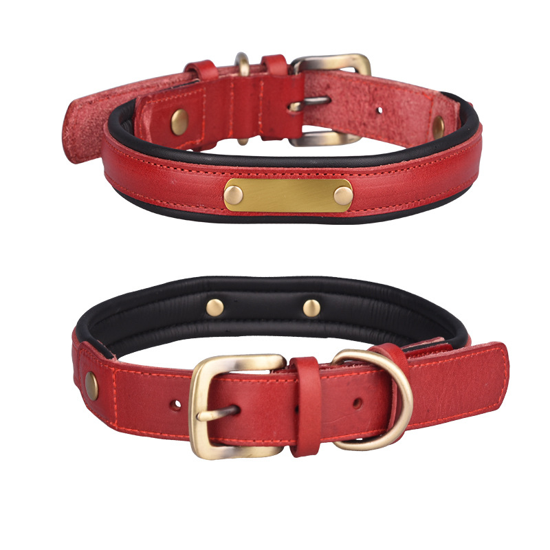 Top Layer Leather Pet Collar Stainless Steel Lettering Dog Collar Medium and Large Dog Leash Amazon Hot Sale