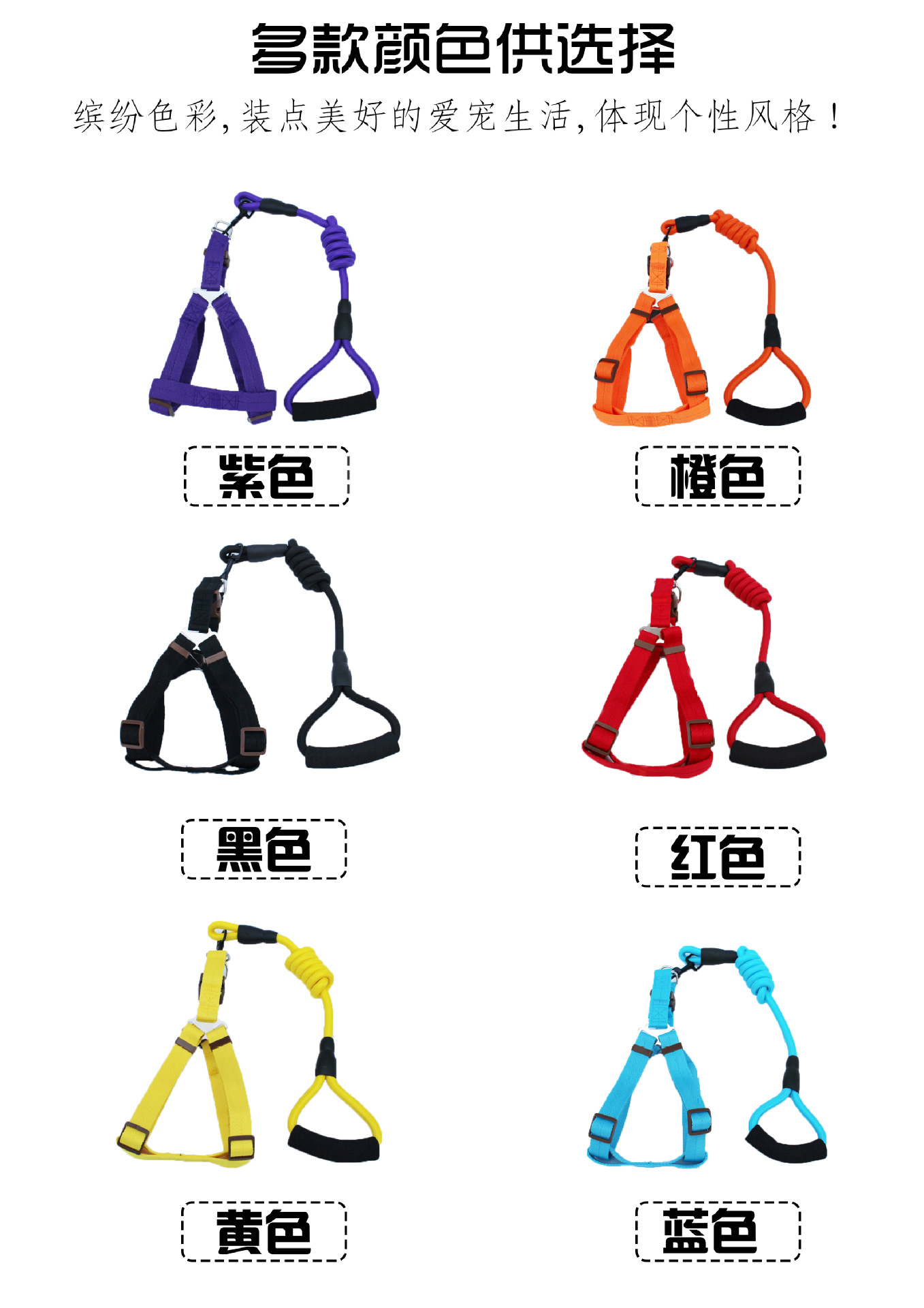 New Pet Hand Holding Rope Dog Traction Belt Cat Dog Rope Dog Chain round Rope Leash Set Collar Supplies
