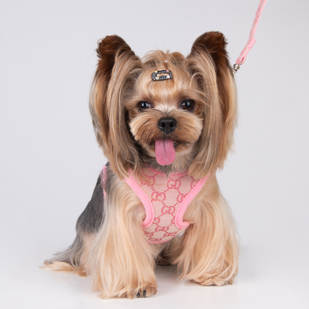 Amazon New Pet's Chest-Back Dog Leash Dog Rope out Collar Leash Pet Supplies Factory