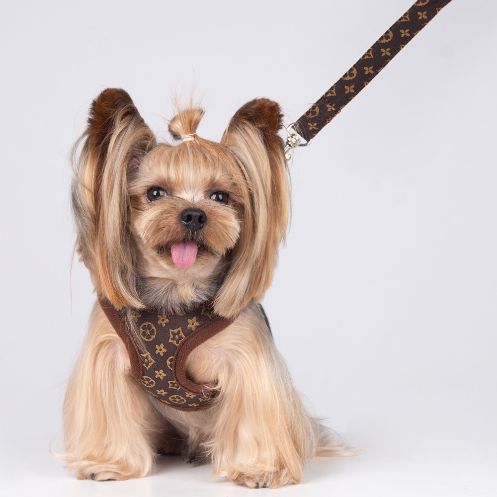 Amazon New Pet's Chest-Back Dog Leash Dog Rope out Collar Leash Pet Supplies Factory