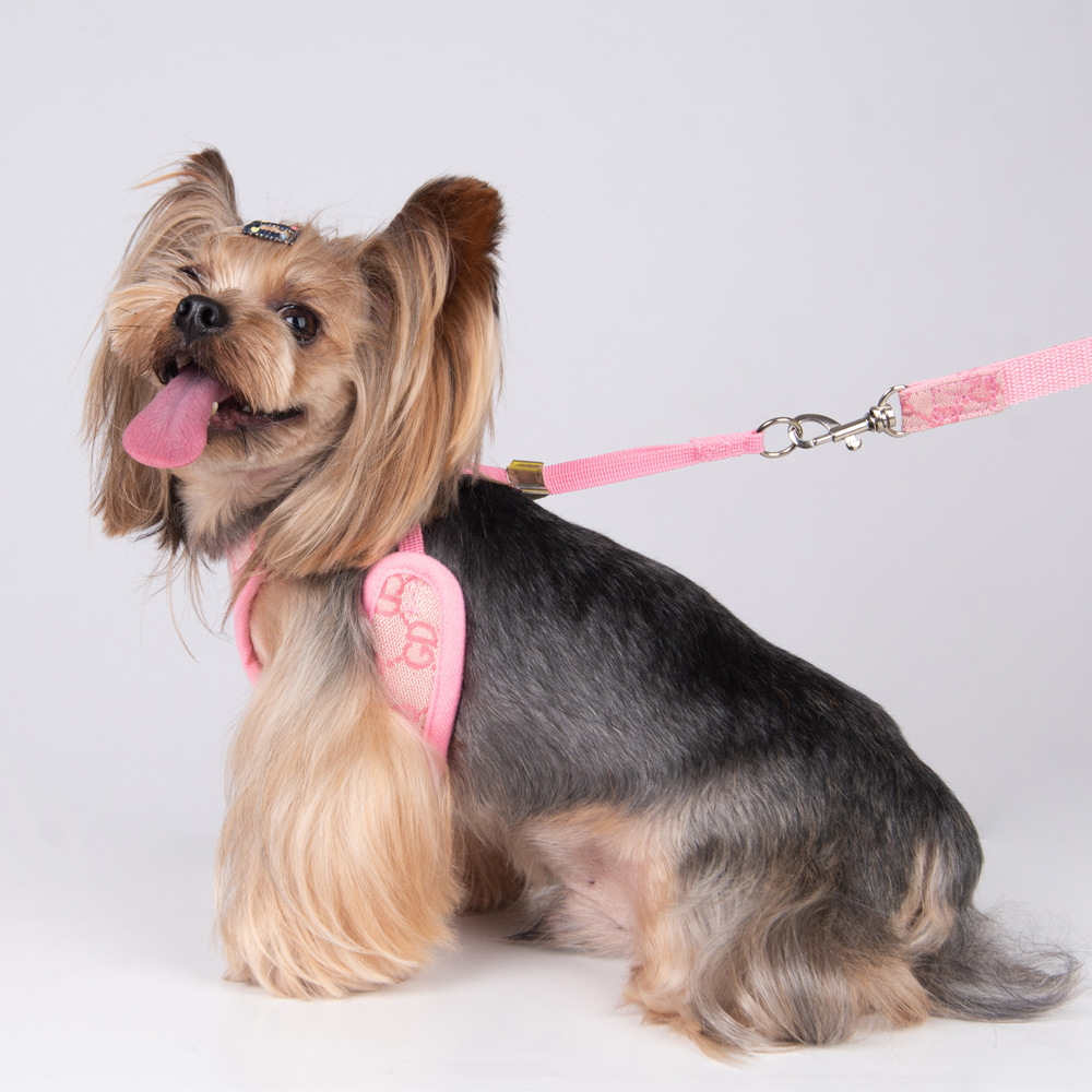 Amazon New Pet's Chest-Back Dog Leash Dog Rope out Collar Leash Pet Supplies Factory