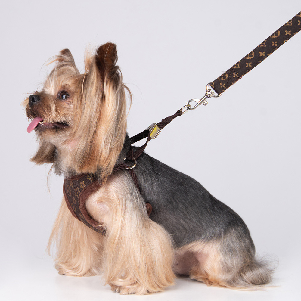 Amazon New Pet's Chest-Back Dog Leash Dog Rope out Collar Leash Pet Supplies Factory