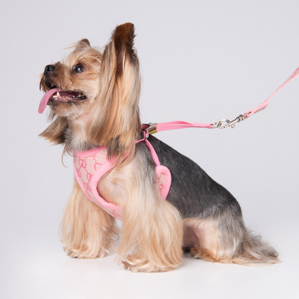 Amazon New Pet's Chest-Back Dog Leash Dog Rope out Collar Leash Pet Supplies Factory