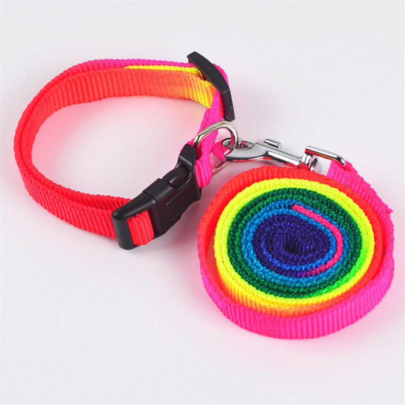 Pet Colorful Hand Holding Rope Colorful Collar Leash Set Dog Leash Teddy VIP Chest Strap Cat Dog Leash