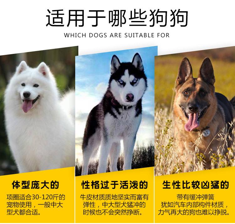 Cowhide Dog Leash Traction Rope Chain Pet Collar Genuine Leather Medium Large Dog Pet Products Factory Wholesale Spot