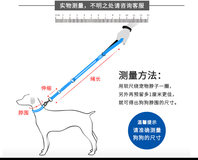 Led Pet Luminous Collar Dog Cat Retractable Leash Set New USB Rechargeable Nylon Factory Wholesale Led Pet Luminous Collar Dog Cat Retractable Leash Set New USB Rechargeable Nylon Factory Wholesale
