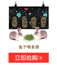 JIDODO Cross-Border New Arrival Fresh Printing Car Nest Pet Supplies Wholesale Non-Slip Central Control Kennel Source Manufacturer