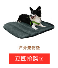 JIDODO Cross-Border New Arrival Fresh Printing Car Nest Pet Supplies Wholesale Non-Slip Central Control Kennel Source Manufacturer
