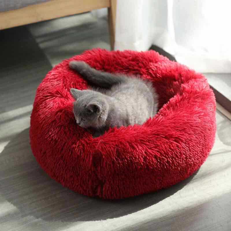 Pet Supplies Kennel Korea round Long Velvet Pet Cushion Mat Online Red Export Hot Cat Litter Pet Supplies Kennel Korea round Long Velvet Pet Cushion Mat Online Red Export Hot Cat Litter