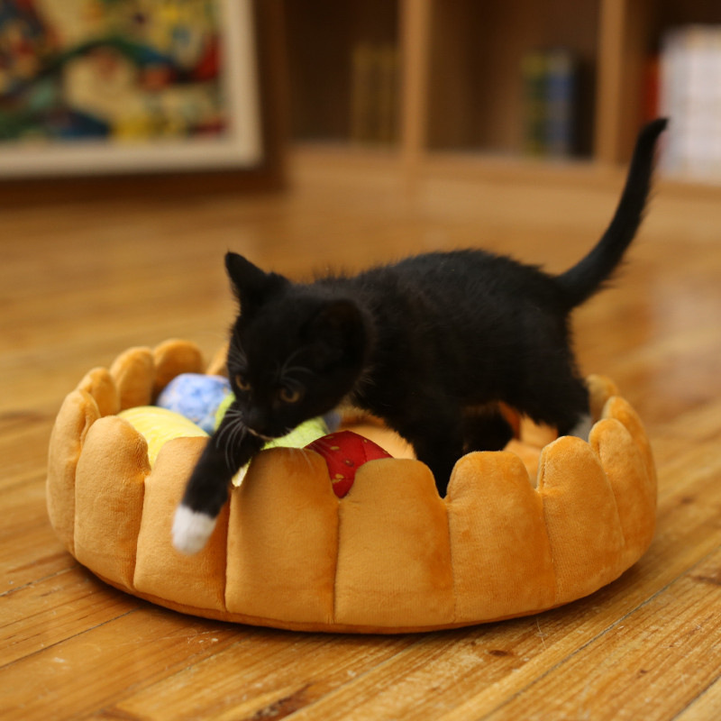 Cross border pet perspex-walled cat mat dog kennel dog kennel Warm fruit tunnel of pet kennel in winter