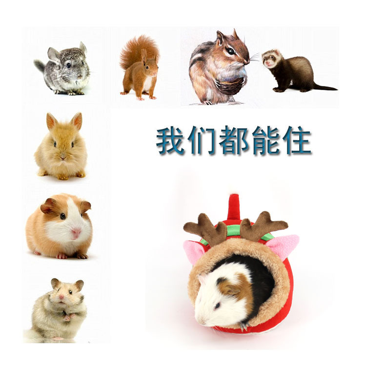 Zhen Pet Bed Factory Sugar Glider Nest Rabbit Cotton Pet Nest Kennel Winter Warm Mini Nest Cage Jizai Hamster Nest Zhen Pet Bed Factory Sugar Glider Nest Rabbit Cotton Pet Nest Kennel Winter Warm Mini Nest Cage Jizai Hamster Nest