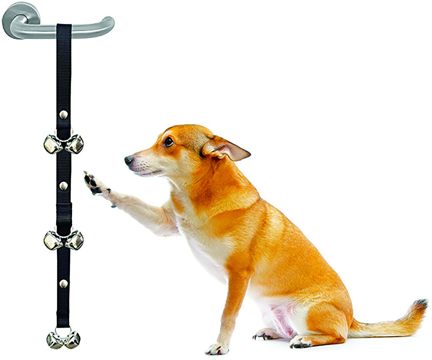 Amazon Hot Pet Doorbell Cat Teaser Toy Dog out Alarm Doorbell Pet Bell Rope