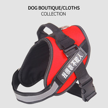 Factory Direct Pet Bag Outing Carry Bag Transparent Bag Dog Cage Breathable Cat Backpack Cat Supplies