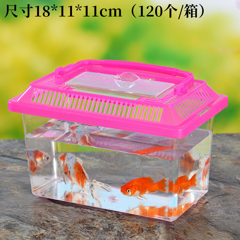 Large Medium and Small Portable Plastic Fish Globe Transparent Turtle Jar Crawler Pet Feeding and Transportation Box