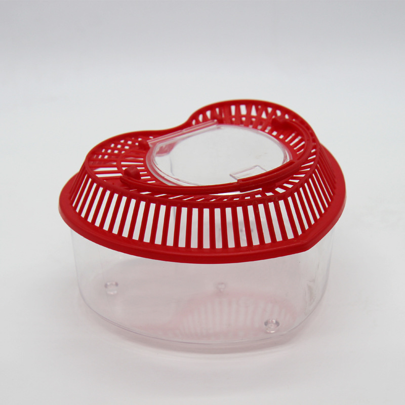 Plastic pet box color love transparent fish tank hollow air turtle box children early education tools wholesale