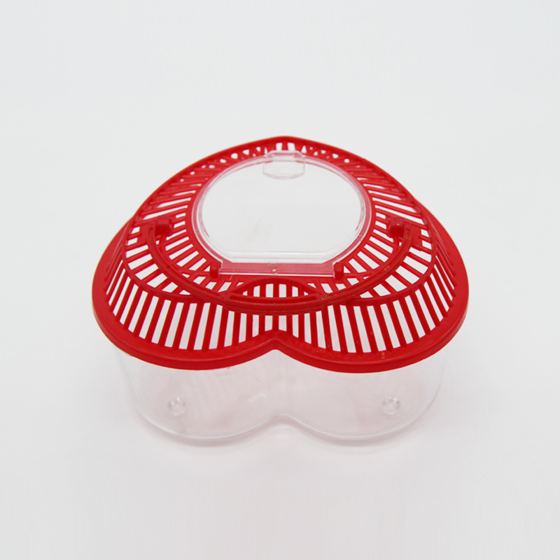 Plastic pet box color love transparent fish tank hollow air turtle box children early education tools wholesale Plastic pet box color love transparent fish tank hollow air turtle box children early education tools wholesale