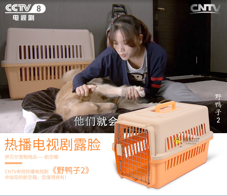 Pet Flight Case Pet Check-in Suitcase Cat Dog Space Box Multi-Model Pet Air Box Factory Wholesale