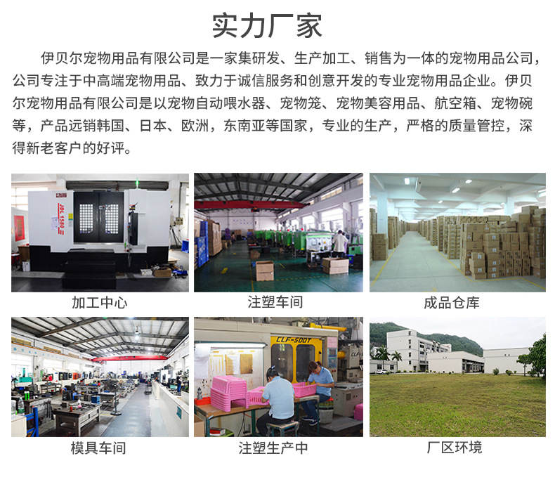 Pet Flight Case Pet Check-in Suitcase Cat Dog Space Box Multi-Model Pet Air Box Factory Wholesale