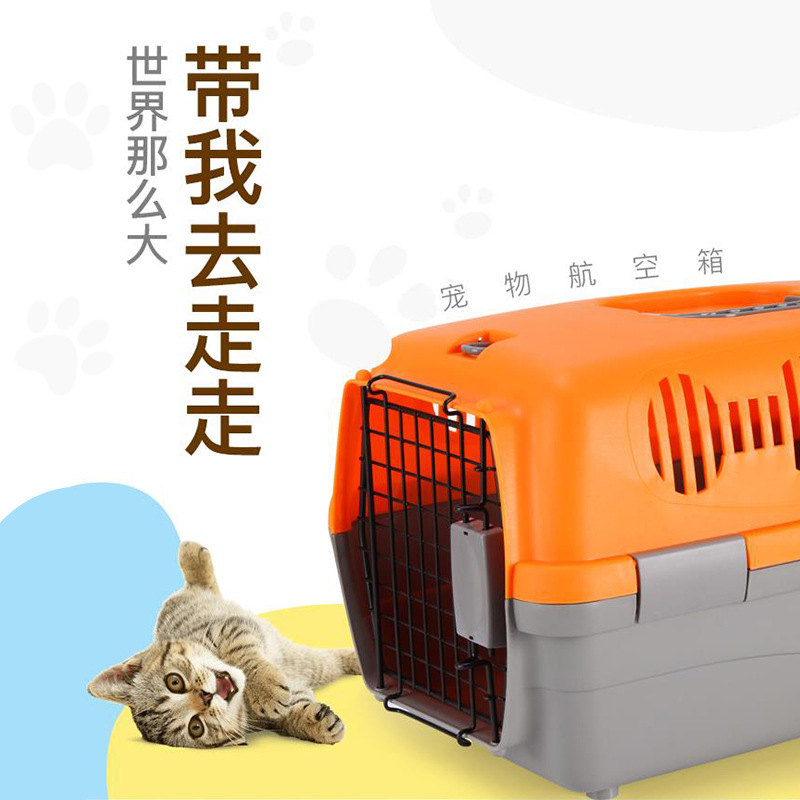 Pet Dog Portable Diaper Bag Air Vehicle Transport Cage Cat Take-out Box Consignment Box Pet Flight Case