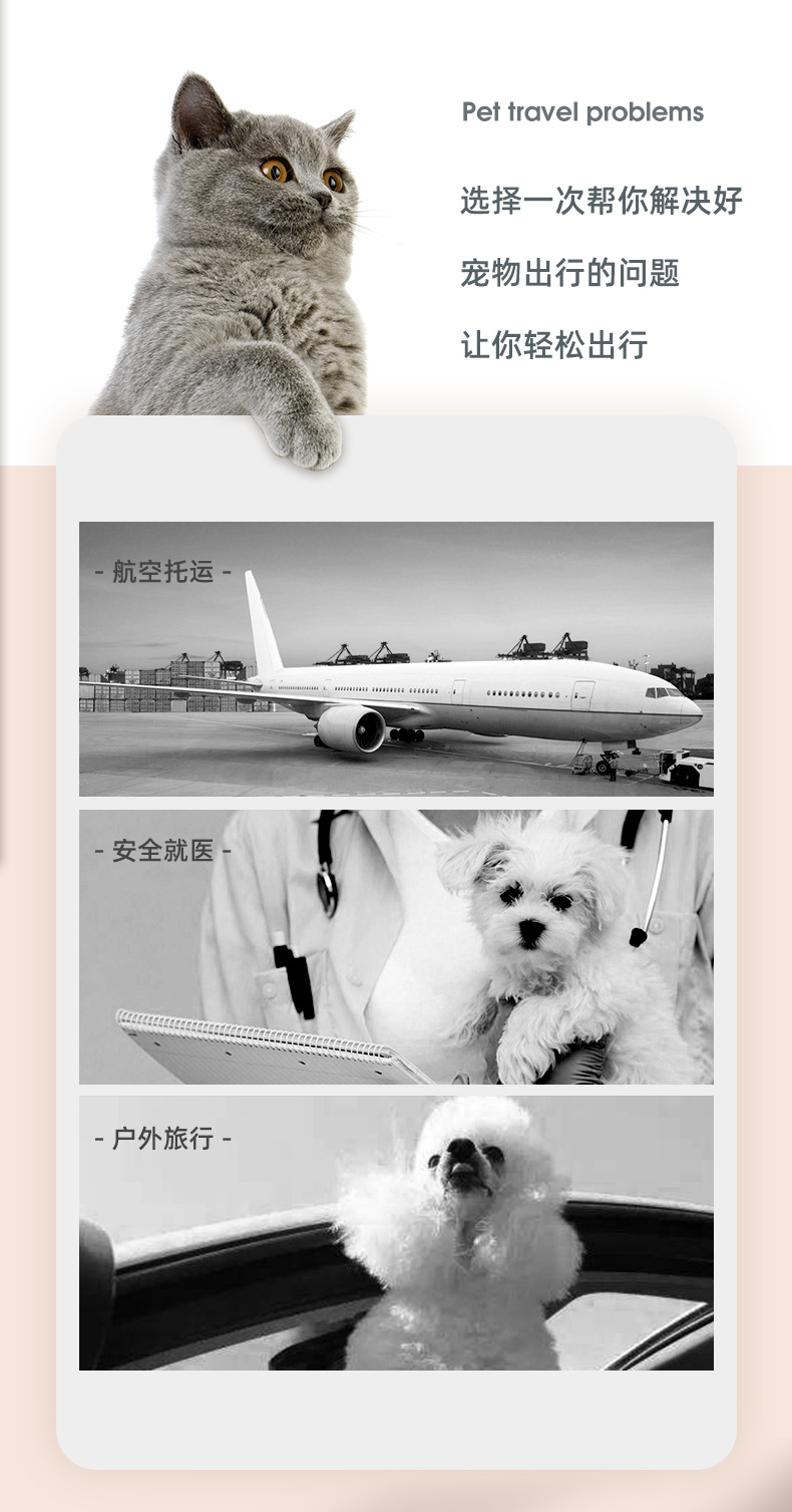 Pet will carry pedals out of the dog and cat carry-on air box Air box transport box Rabbit cage Pet will carry pedals out of the dog and cat carry-on air box Air box transport box Rabbit cage