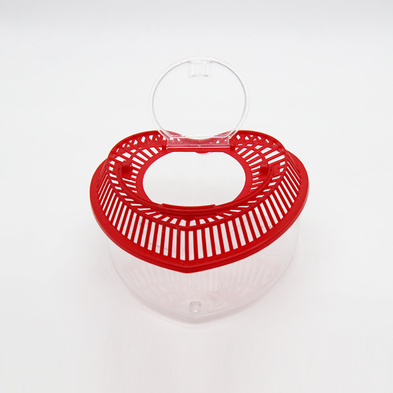 Plastic pet box color transparent plastic hollow air tank love children tools wholesale box turtle Plastic pet box color transparent plastic hollow air tank love children tools wholesale box turtle