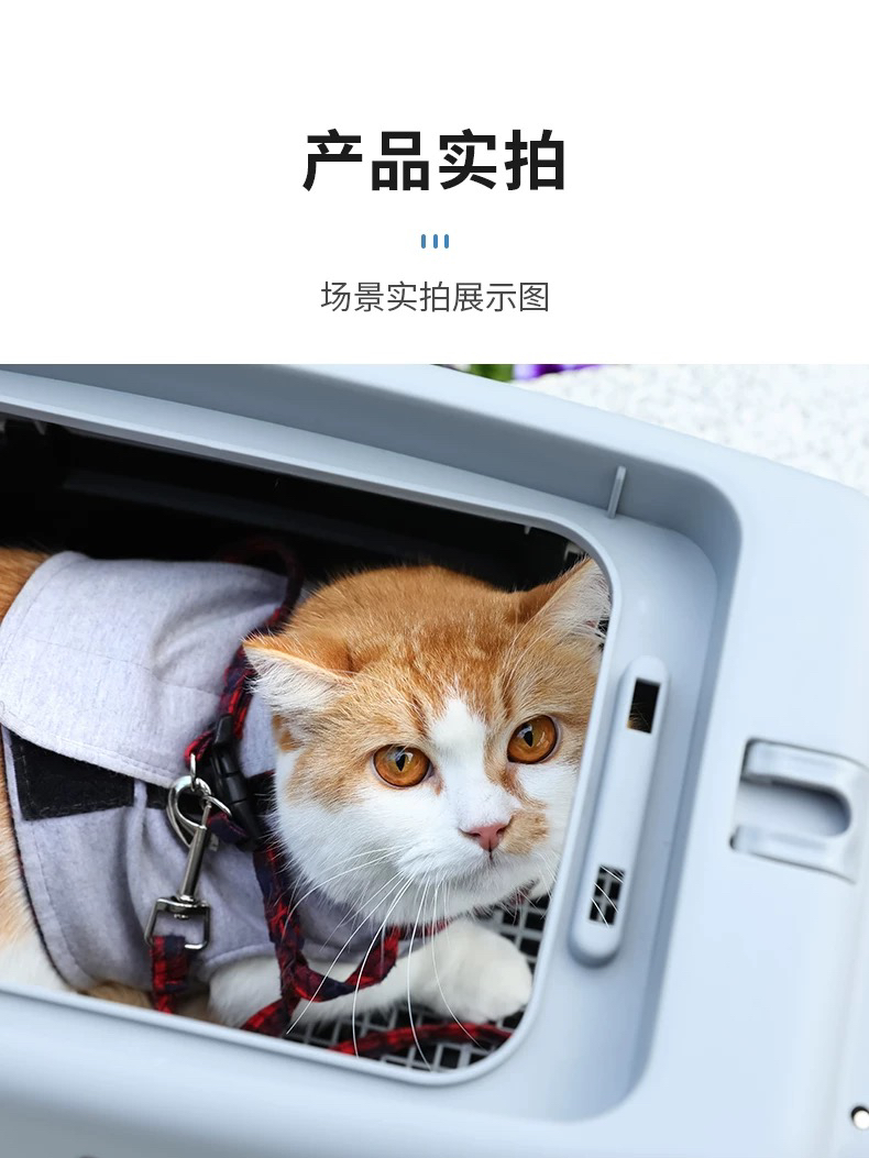 Flight Case Pet Plane Consignment Cat Small Dog Dog Cat Bag Cat Cage Portable Bag Air Transport Box out Flight Case Pet Plane Consignment Cat Small Dog Dog Cat Bag Cat Cage Portable Bag Air Transport Box out