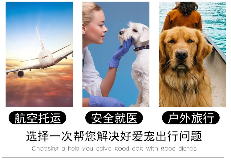 High-End Pet Flight Case Air Transport Box Pet Portable Check-in Suitcase Dogs and Cats Check-in Suitcase Aircraft Cage Large Box High-End Pet Flight Case Air Transport Box Pet Portable Check-in Suitcase Dogs and Cats Check-in Suitcase Aircraft Cage Large Box