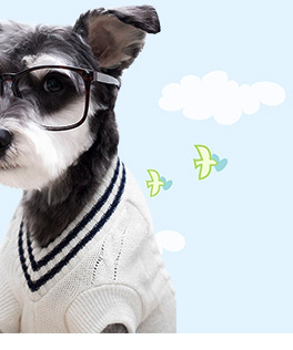 Pet Flight Case Dog/Cat Hamster Rabbit Pet out Consignment Air Box Breathable Cat Portable Air Box