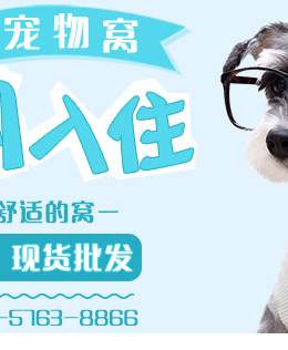 Pet Flight Case Dog/Cat Hamster Rabbit Pet out Consignment Air Box Breathable Cat Portable Air Box