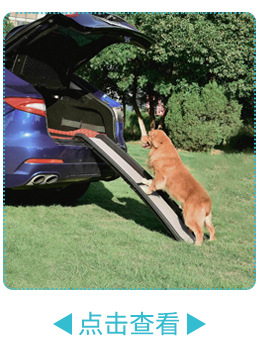 Pet Flight Case Dog/Cat Hamster Rabbit Pet out Consignment Air Box Breathable Cat Portable Air Box