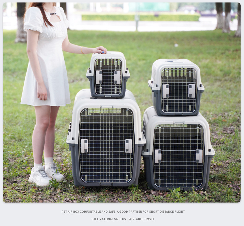 Pet Flight Case Dog/Cat Hamster Rabbit Pet out Consignment Air Box Breathable Cat Portable Air Box